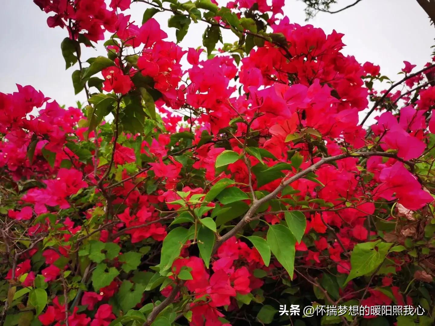 一万元炒股做短线划算不,一万元短线炒股方法