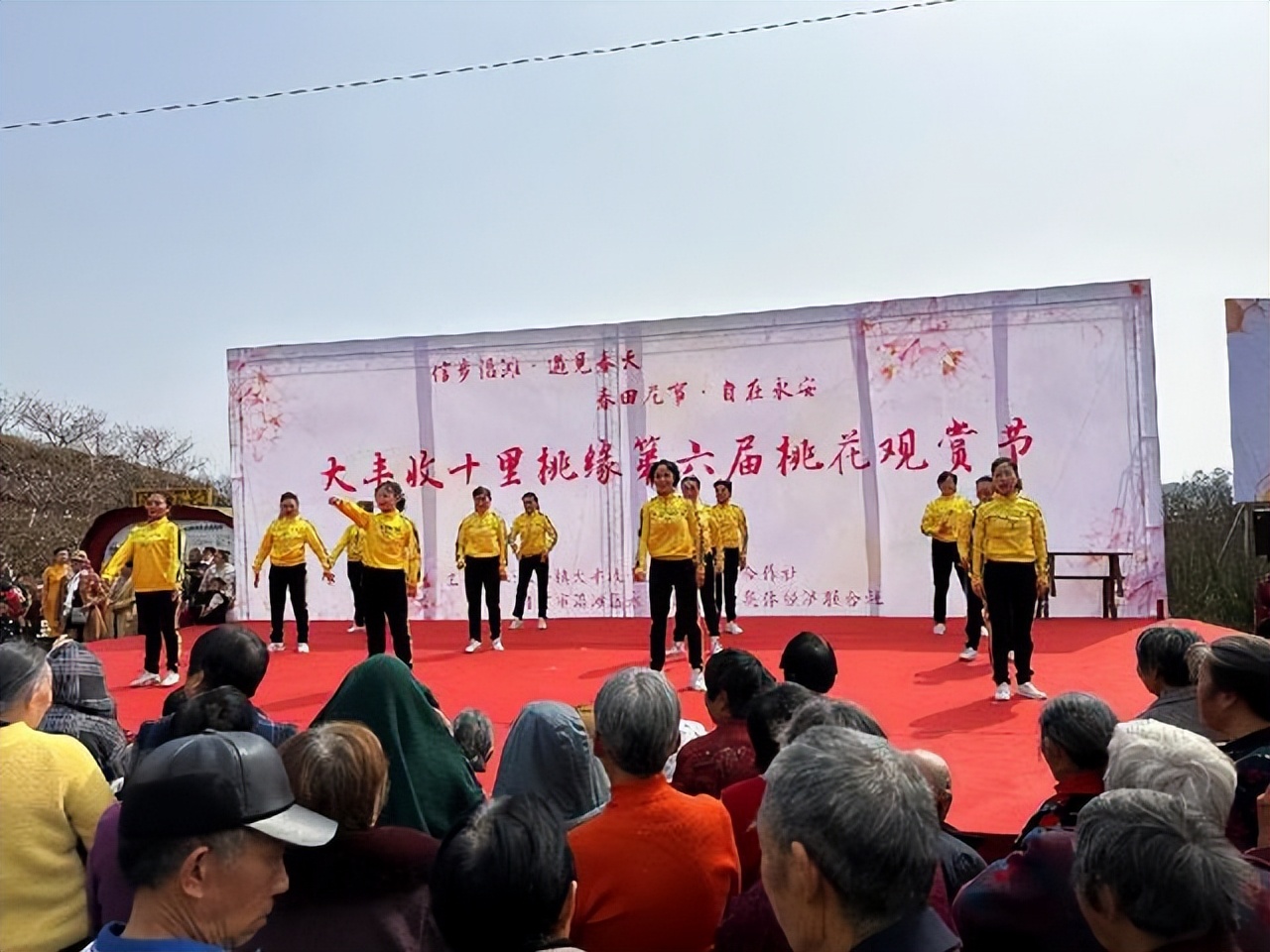 「自贡」以乡贤助力粉色经济打造最美农旅名片