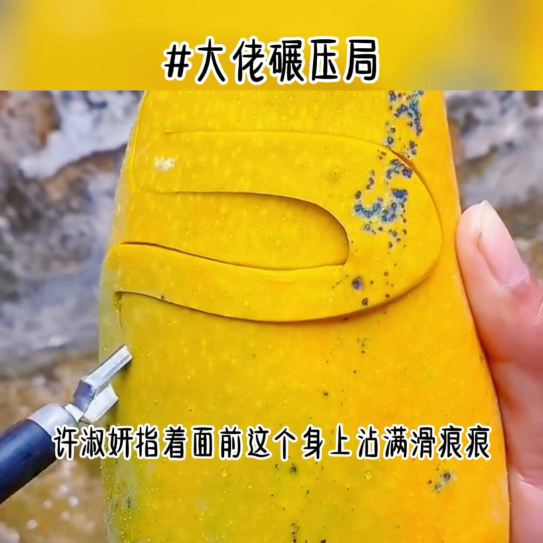 大佬捡漏小说,大佬翻盘小说