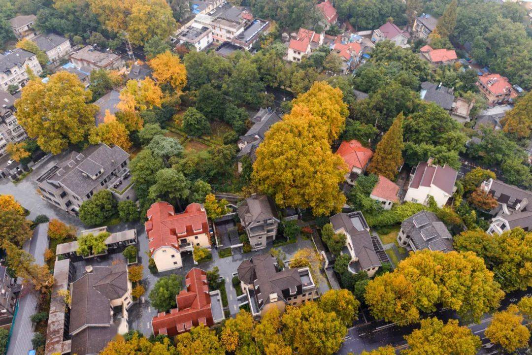 罗莱夏朵香缇,罗莱夏朵探店