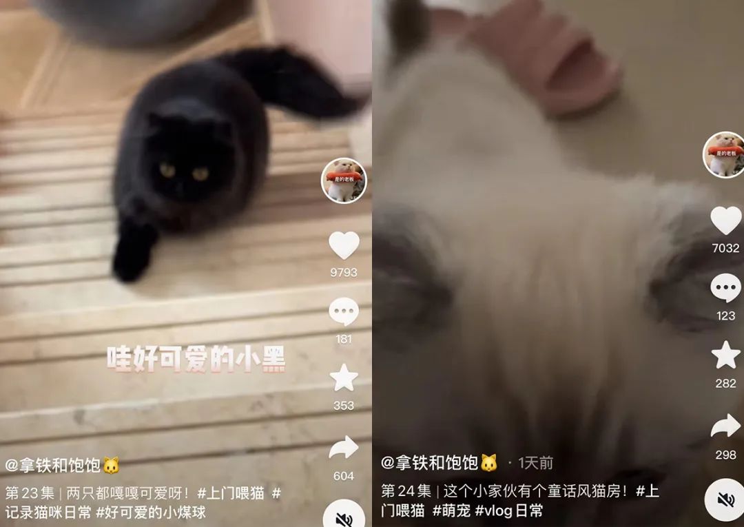 适合女生的副业兼职,推荐几个下班后可以做的副业兼职