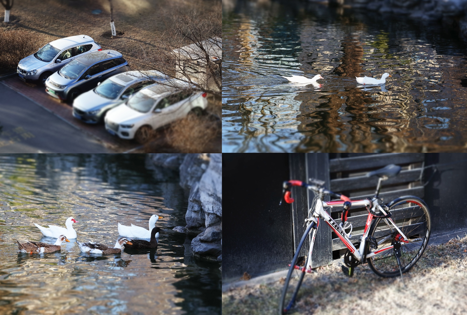 佳能eosr50深度评测,佳能eosr50优缺点