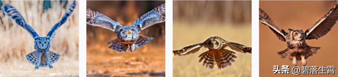 头像|40个好看的webchat头像和十句箴言