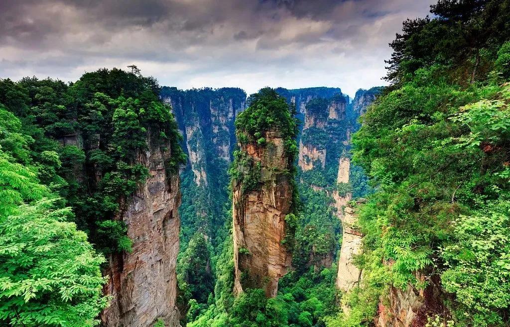 仙境张家界惊艳全世界,张家界的峰林峡谷仙境
