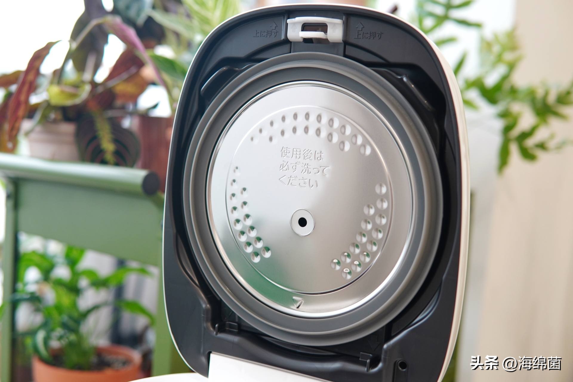 灵魂米饭,灵魂电饭煲