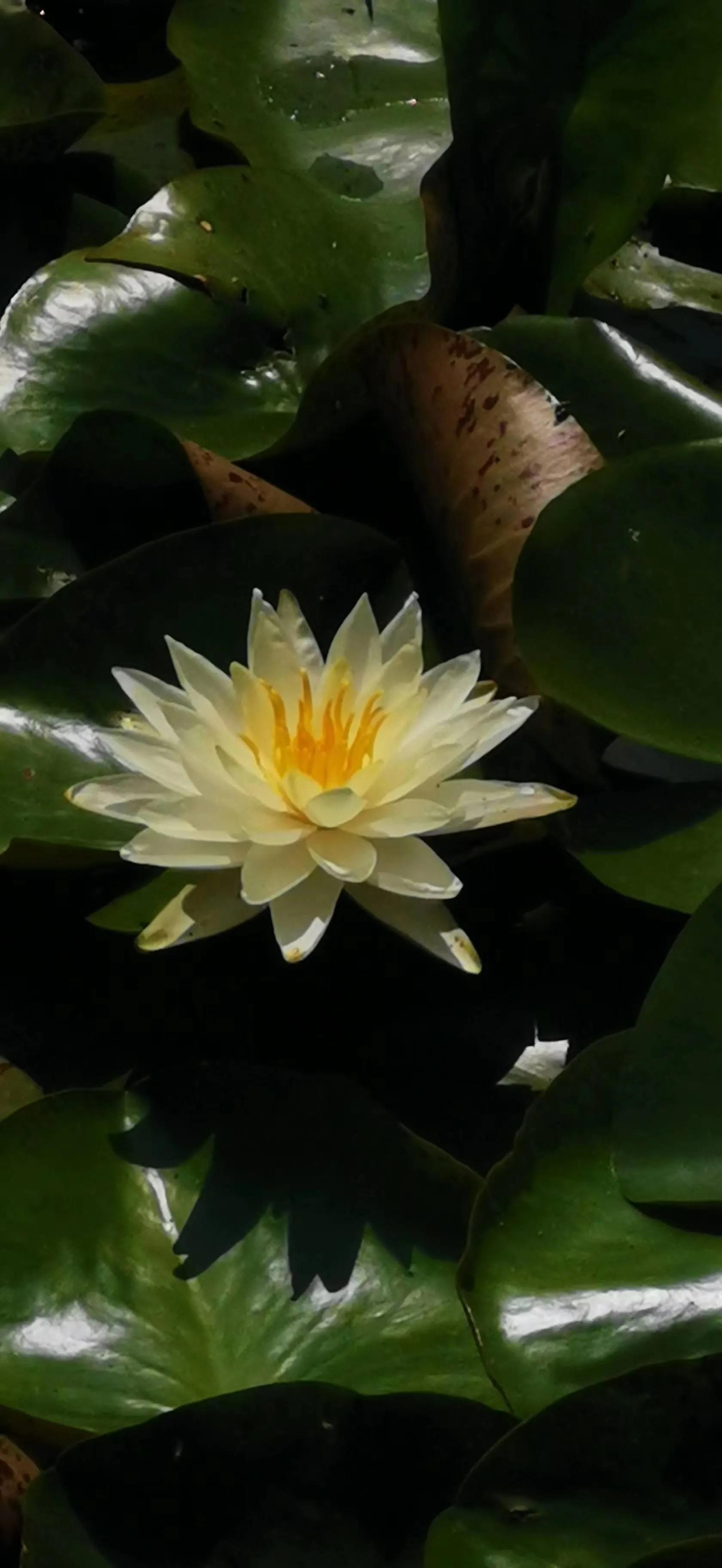 合肥晚上带娃好去处,合肥附近带两个娃去哪里玩