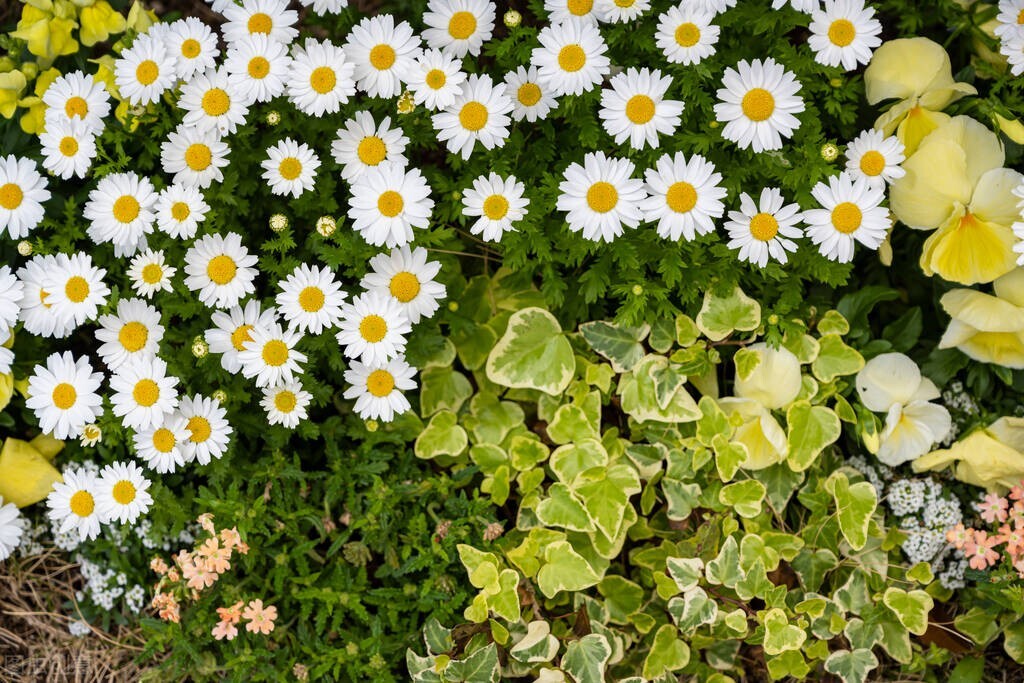 适合发朋友圈的爱情唯美句子,适合发朋友圈的高情商爱情句子