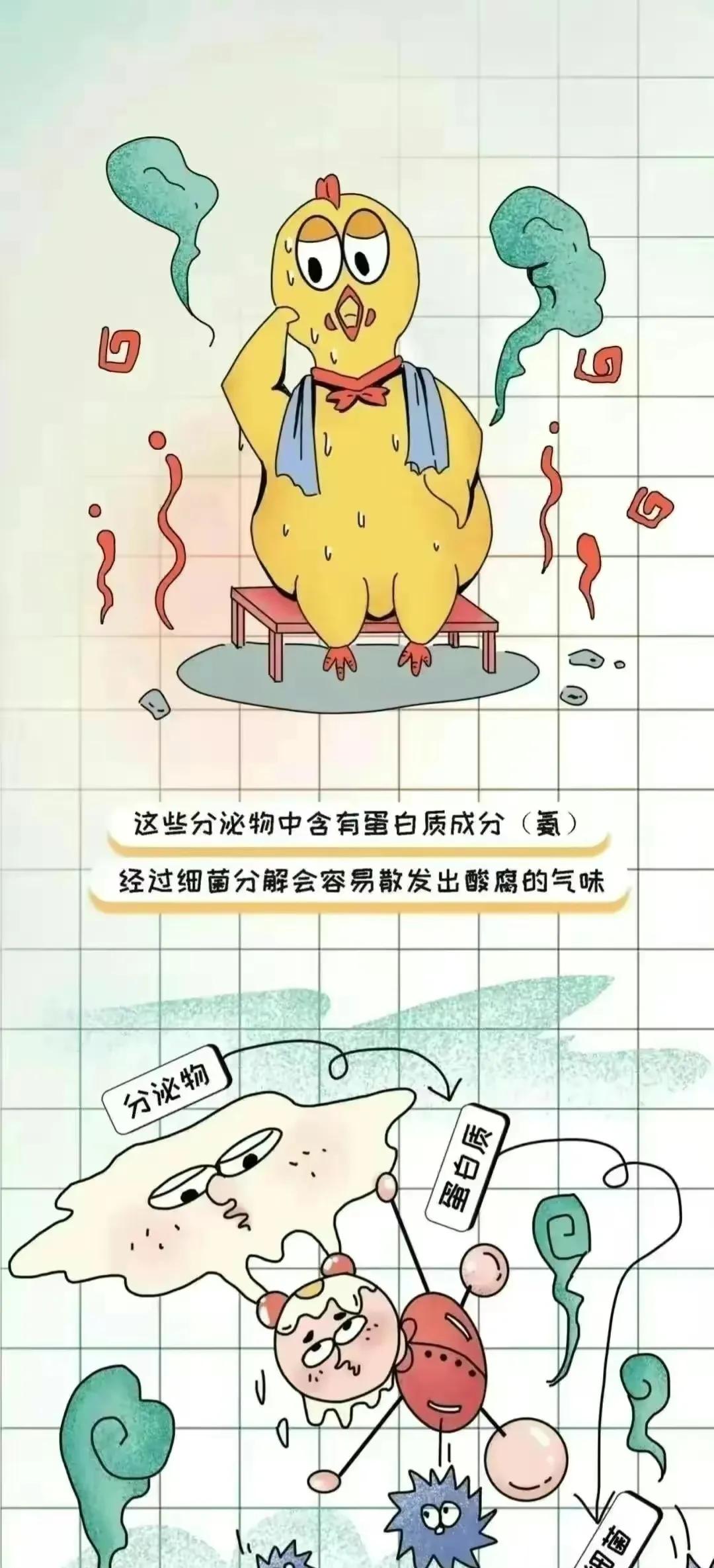 为什么漫画男多女少,漫画为什么男生都喜欢微胖的女孩