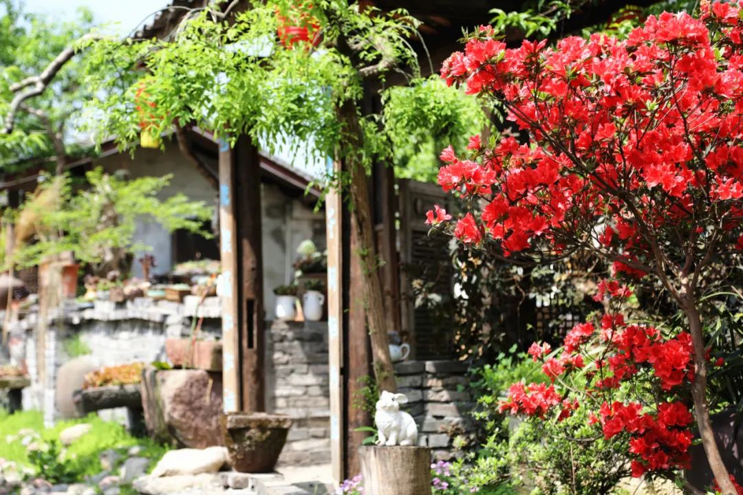 峨眉山旅游有哪些好玩的好吃的,峨眉山吃喝玩旅游攻略