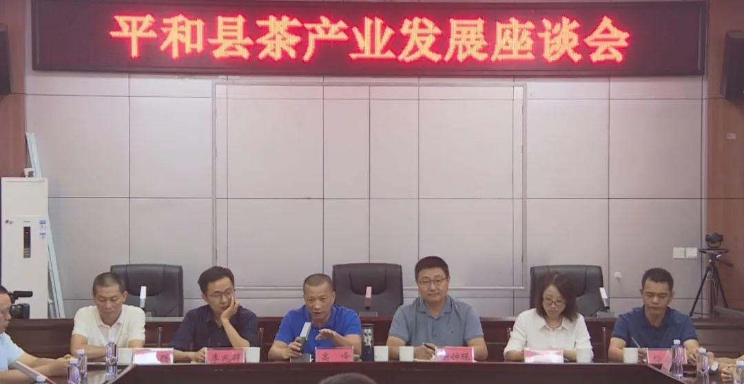 鑼跺彾涓撳鐜板満璁茶В鍥剧墖,鑼跺彾鎺㈣