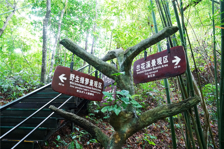 海南东线自驾乡村游攻略,海南原始村落自驾游