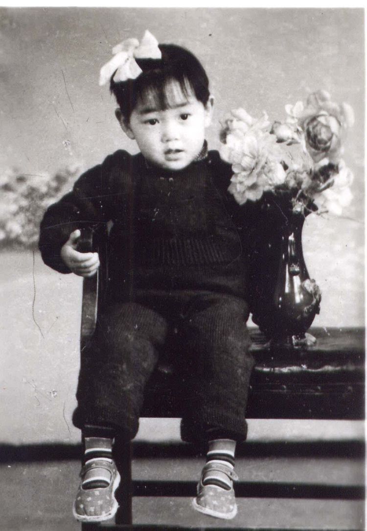 功不可没在线观看完整版,功不可没纪录片完整版