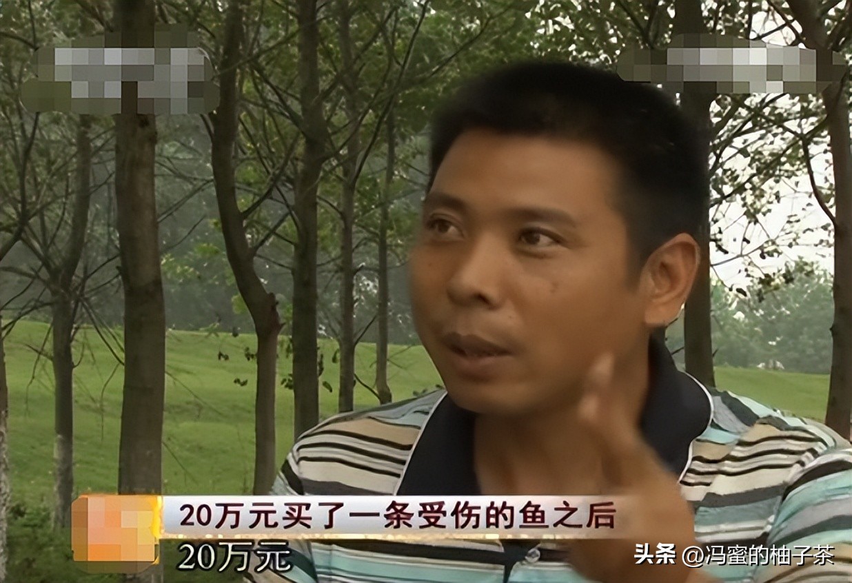 男子花13万买的鱼因停电缺氧死亡,男子花20万买一条受伤鲶鱼后续