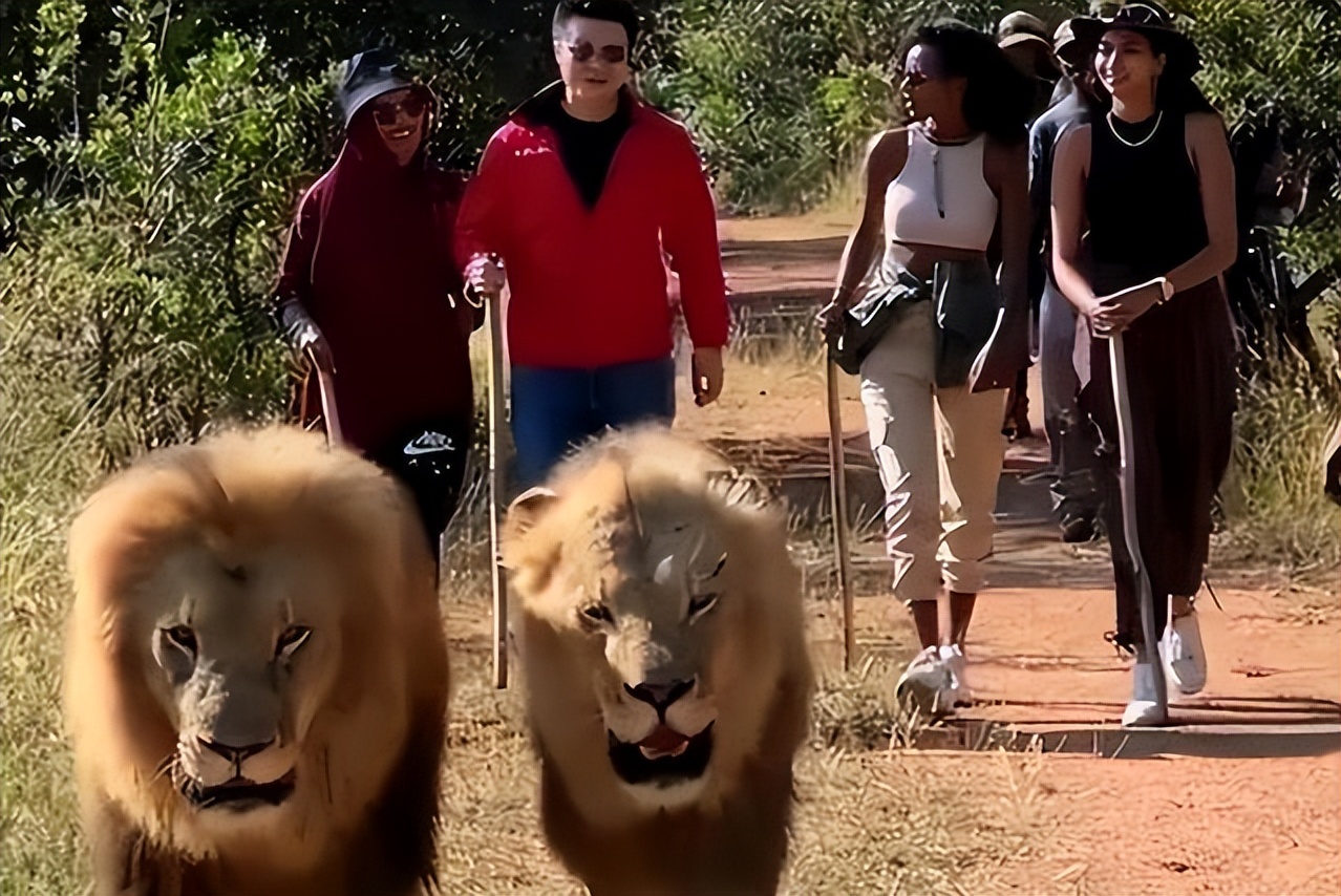 “非洲土皇帝”王垚，生活奢靡居然还被官媒表扬，背后果然不简单