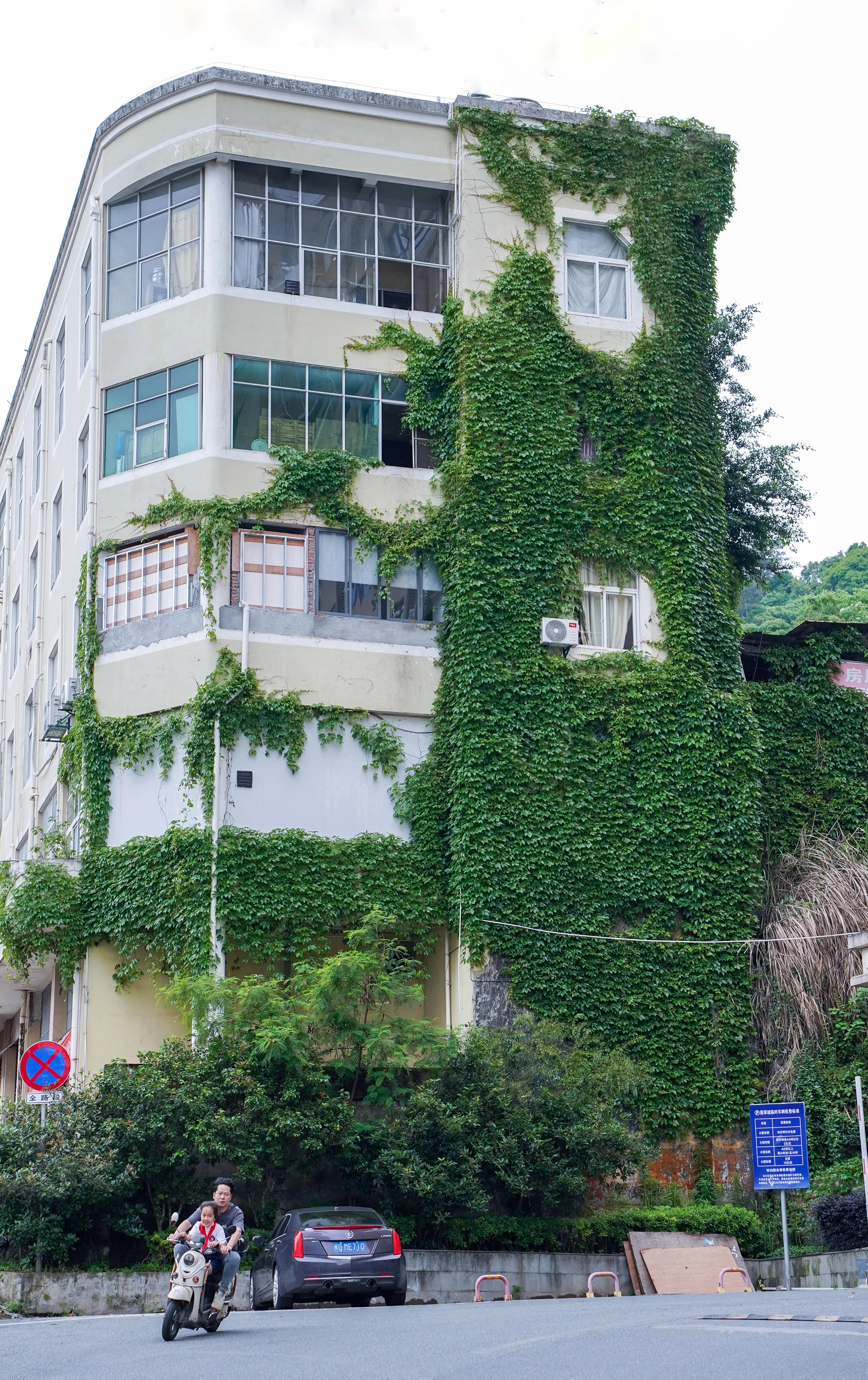 拍完这一波花开，这春天就结束了。