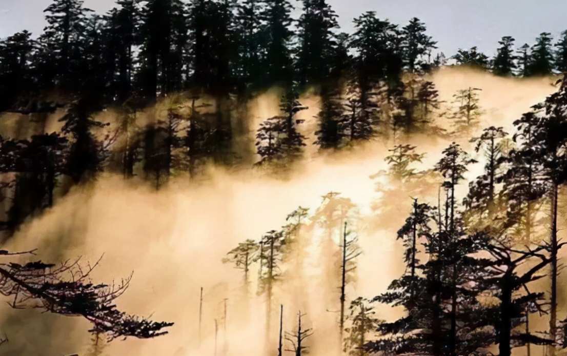 瘴气为什么有毒,瘴气的特征