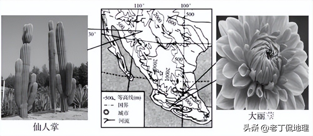 墨西哥2018年世界杯之旅,世界杯墨西哥特辑
