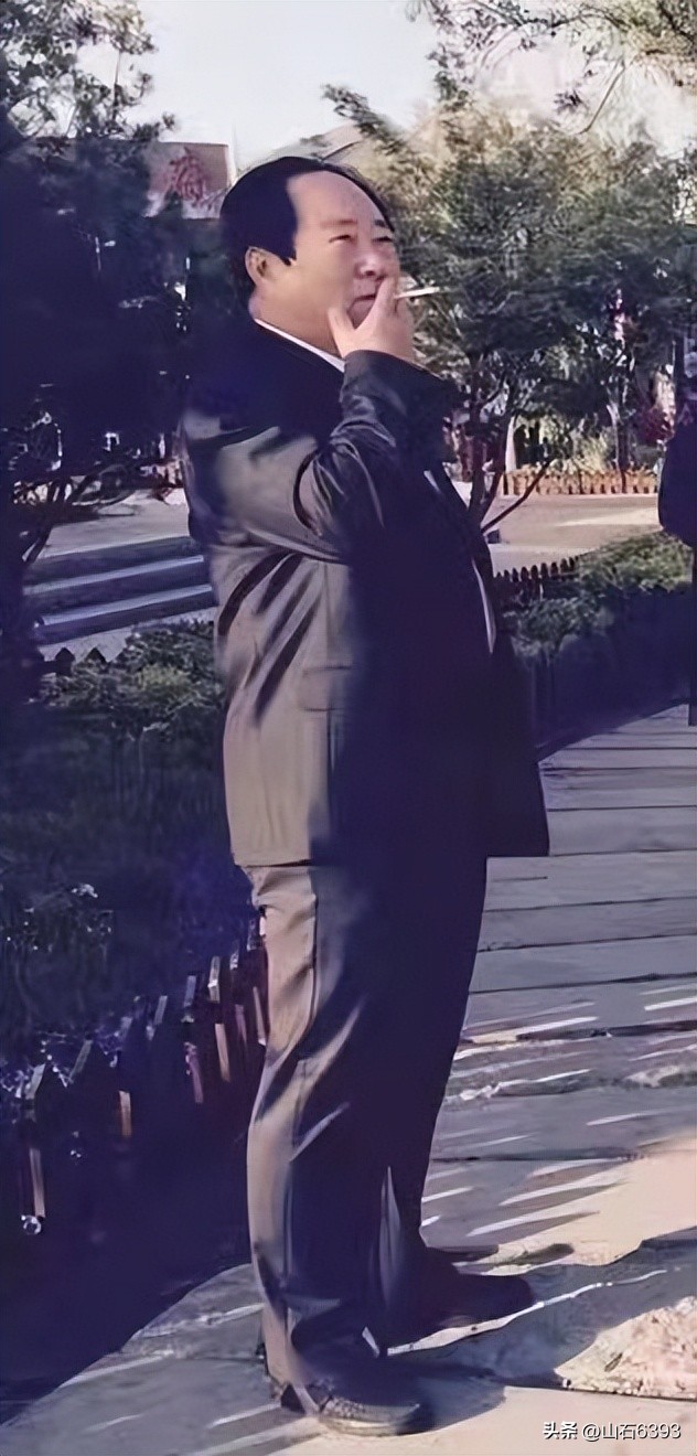 张梅：《石头》——是怎样“把石头养出温度”滴