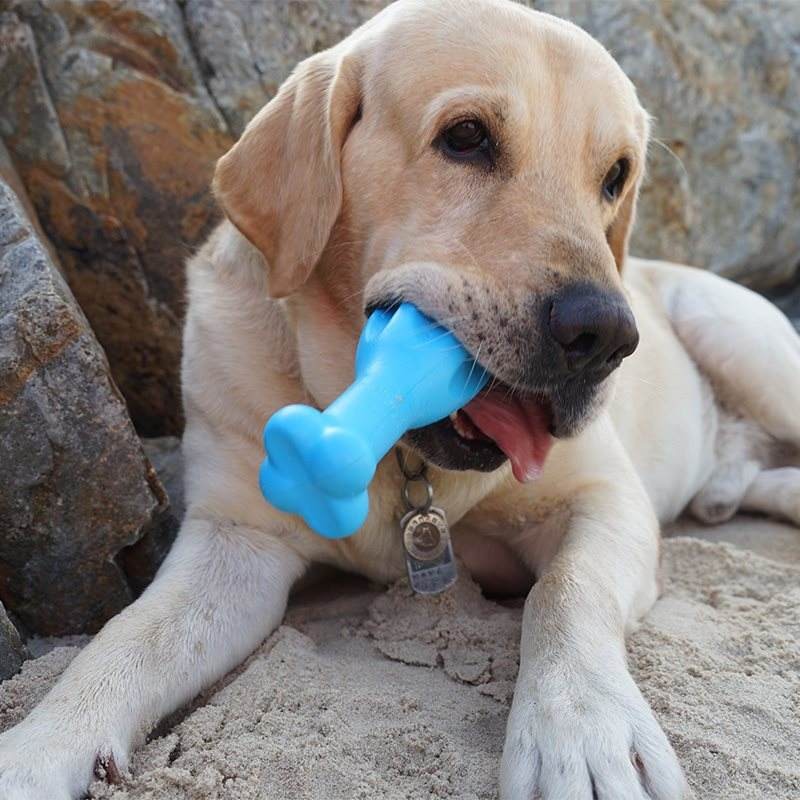 磨牙棒狗狗一天给几根,磨牙棒狗狗一次啃多长时间合适