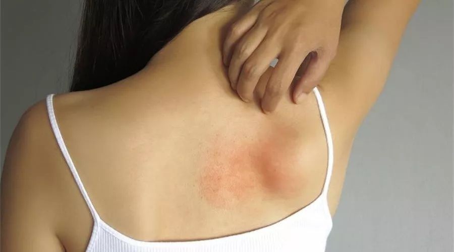 夫妻之间不要告诉别人三件事,夫妻之间都要懂得的五个忠告