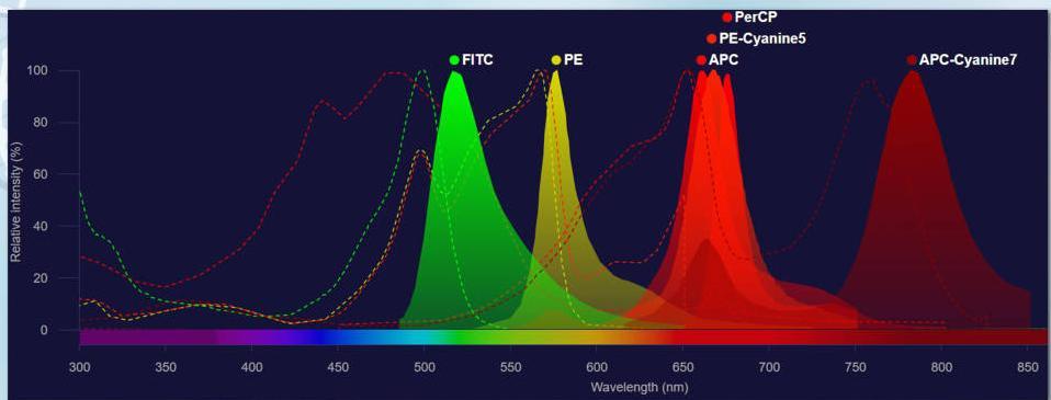 流式细胞检测结果怎么看,流式细胞仪检测查什么