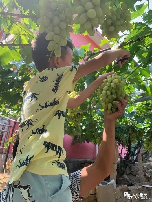 北京周边也有这么多超好逛的小镇、古镇、小山村，门票全免费！