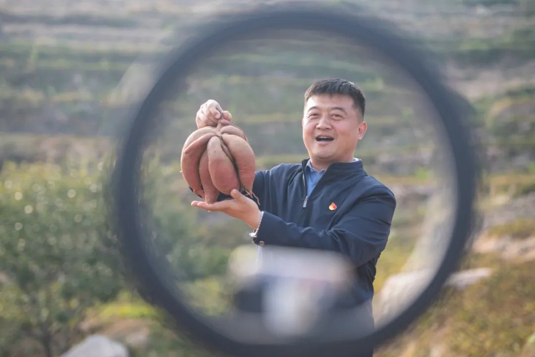 临朐县九山镇：“九”久为功“山”乡蝶变（朱林明）