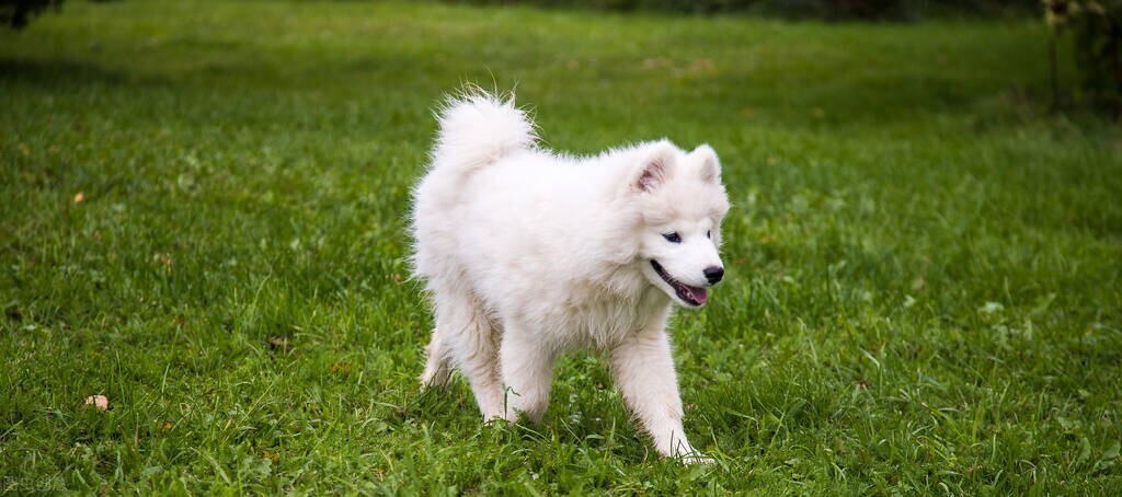 15个你不知道的冷知识,10个你不知道的奇葩冷知识