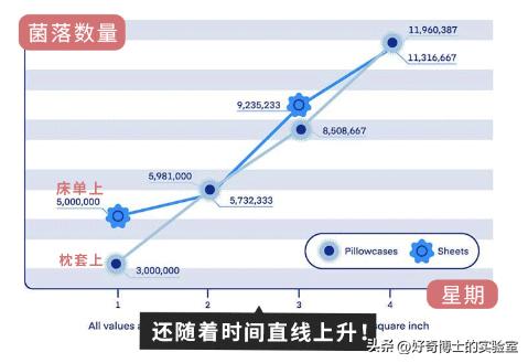 情侣裸睡时，究竟能不能脱*裤内**？