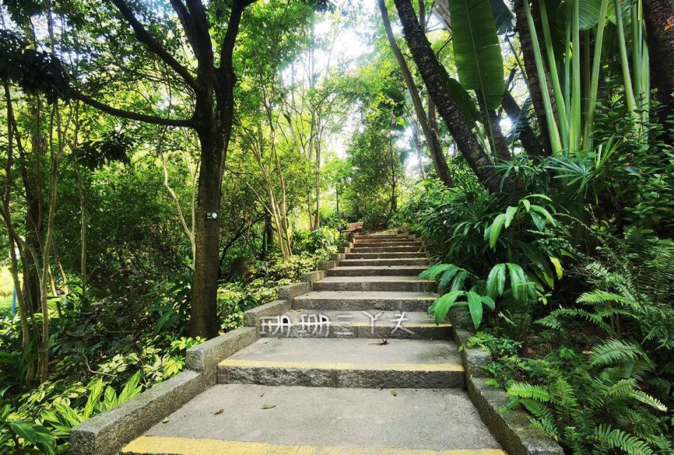 坐船香港一日游最佳攻略自由行,广州香港旅游自由行攻略