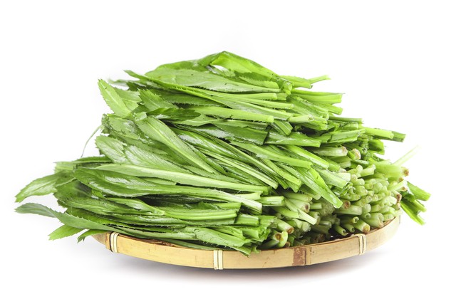 山货怎么赚钱,农村山货怎么赚钱