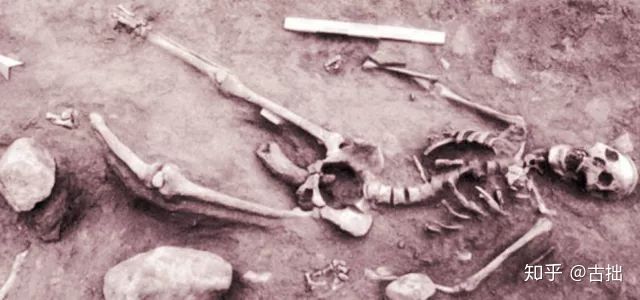 考古学家有多可怕,考古最可怕的东西是什么