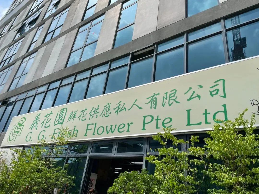 新手必看鲜花养护攻略,鲜花在水里能养几天会死