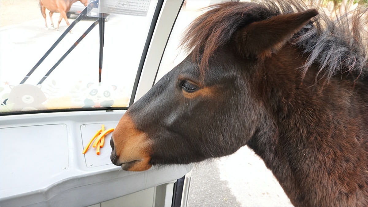 在江苏的“绿林仙海”中，寻找侠气与柔情