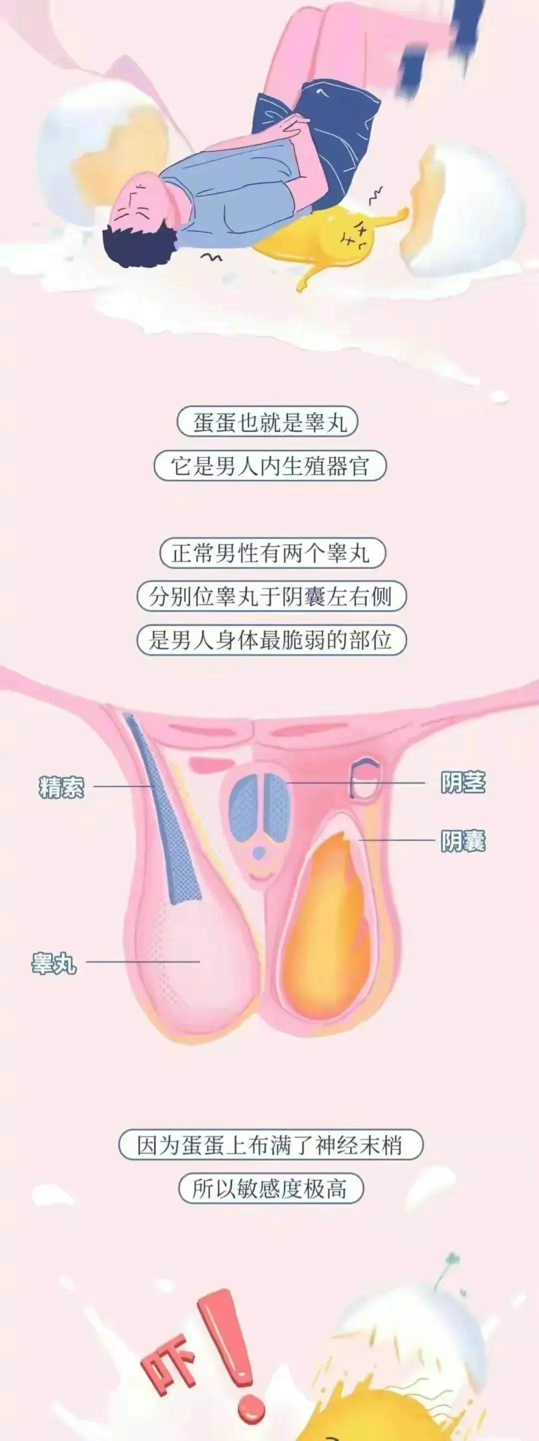 男生被踢到“蛋蛋”到底有多痛？