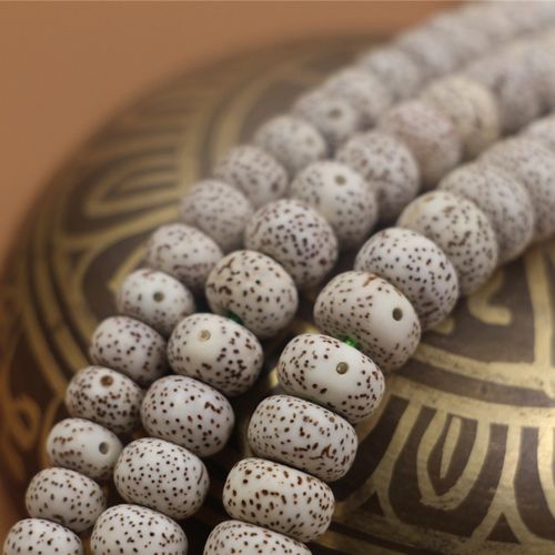 星月菩提子,星月菩提子怎么穿绳