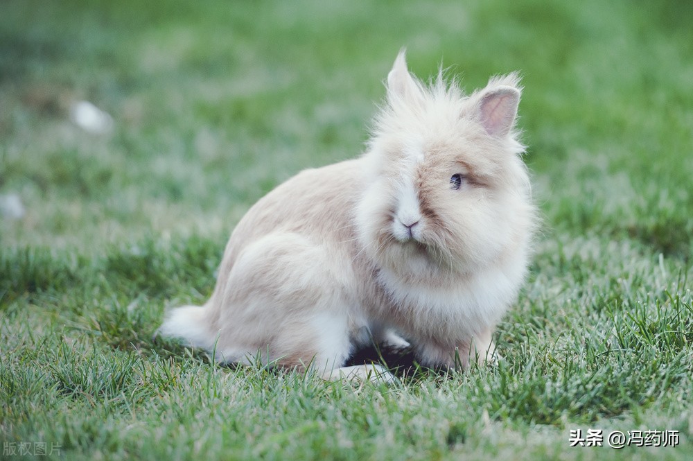 慢性细菌性前列腺炎如何治疗,慢性细菌性前列腺炎注意事项