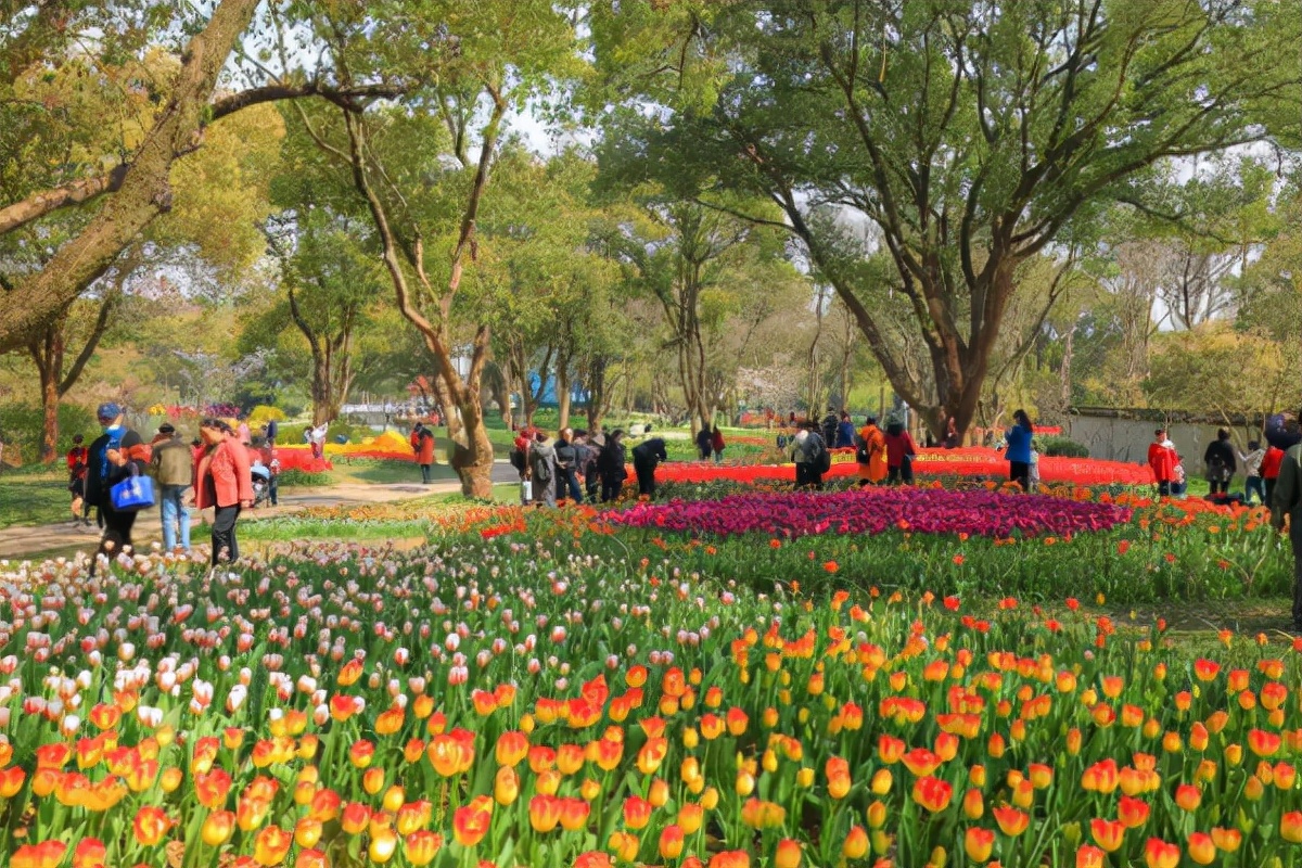 最近无锡新消息,无锡有哪些好消息