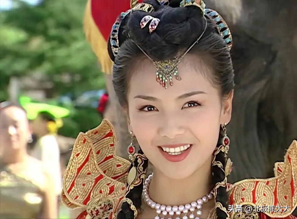 从贤妻到女强人刘涛都经历了什么,贤妻刘涛真实身份