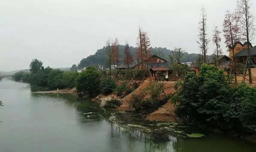 宁乡桃林镇,长沙市道林镇