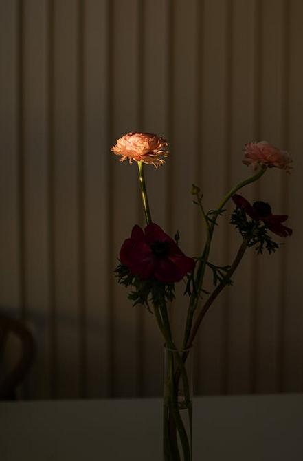 短篇小说：她的魔鬼父亲（1）