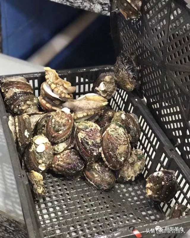 世界顶级海鲜食材,世界顶级的海鲜视频