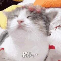 打造品牌口号,如何打造有效的广告语