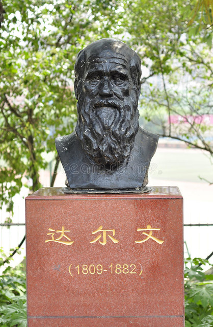 达尔文进化论核心学说,达尔文进化论提出了什么学说