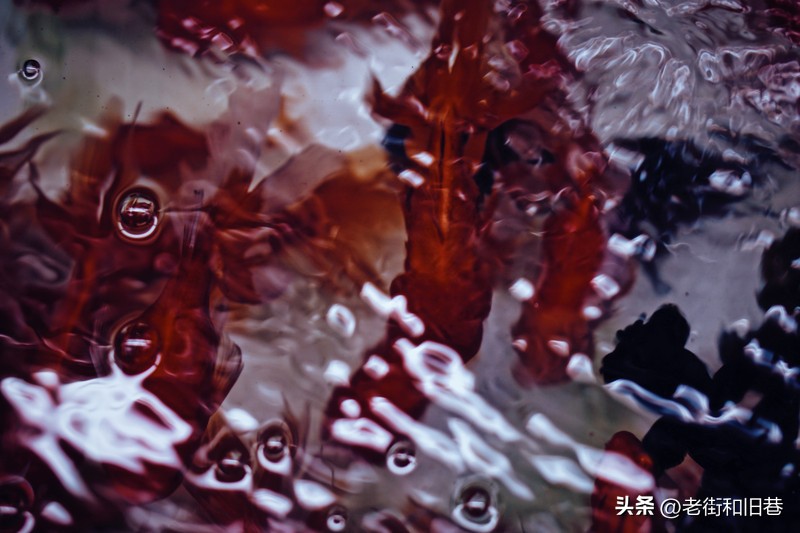 罗生门和黄粱梦,罗生门香港live