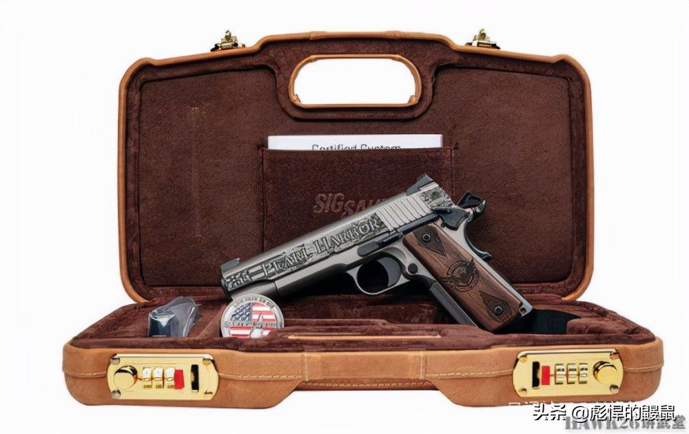 西格绍尔定制手枪,西格绍尔m17手枪