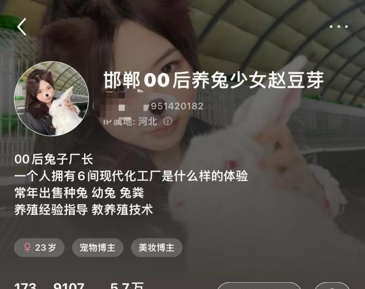 养兔子怎么干净卫生,养兔子的缺点和坏处