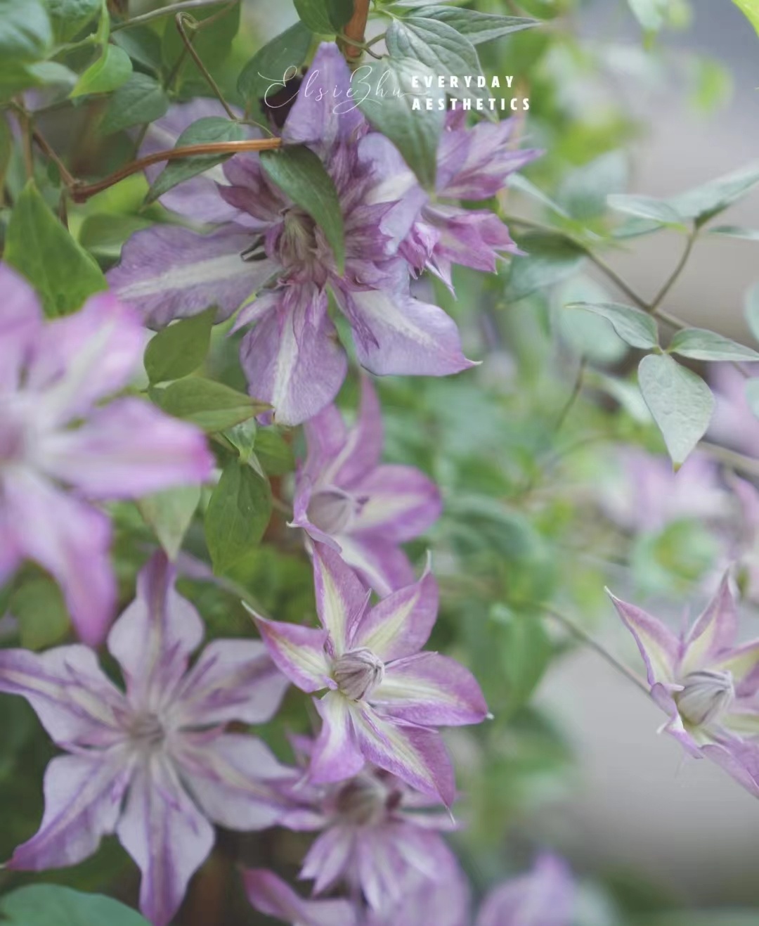 买保险刚过犹豫期后悔了怎么办,买了保险在犹豫期想退怎么操作