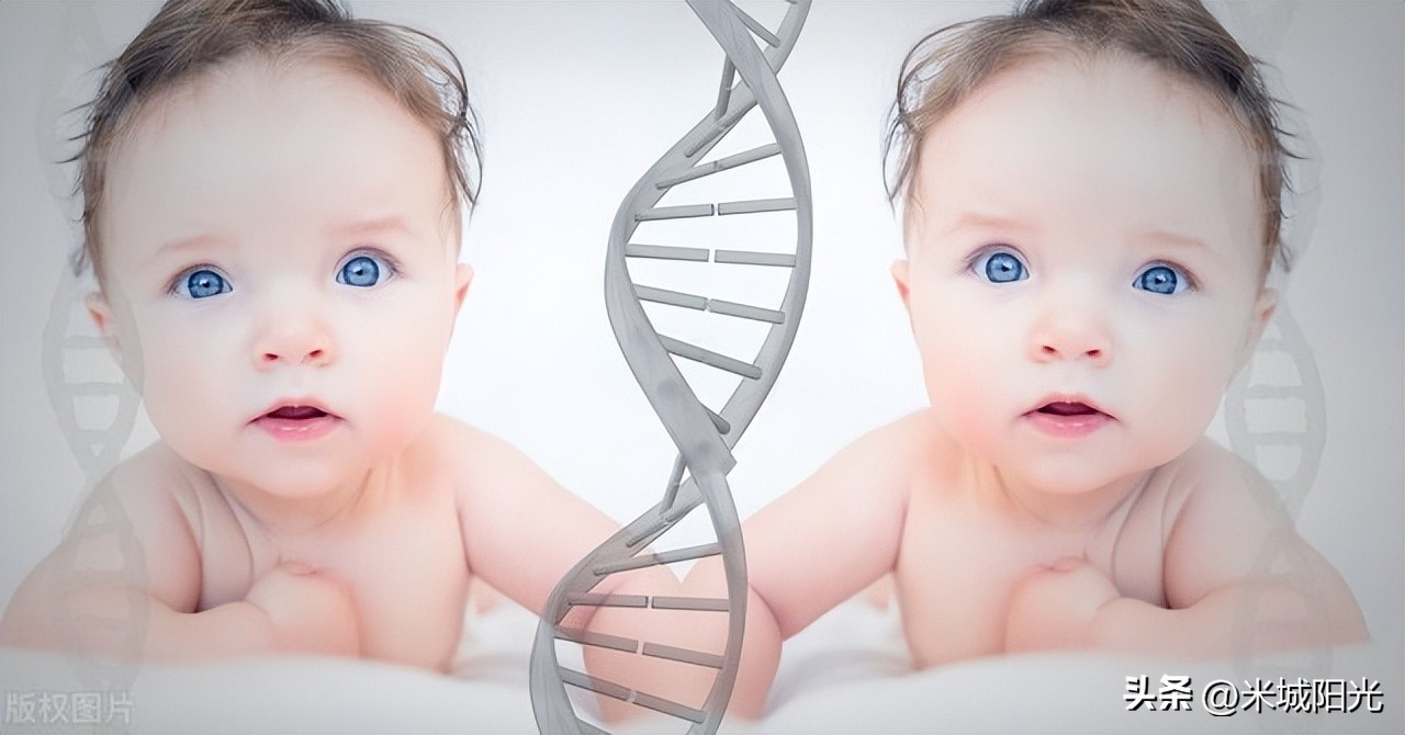 遗传学证实生男生女,生男生女到底是由什么原因决定的