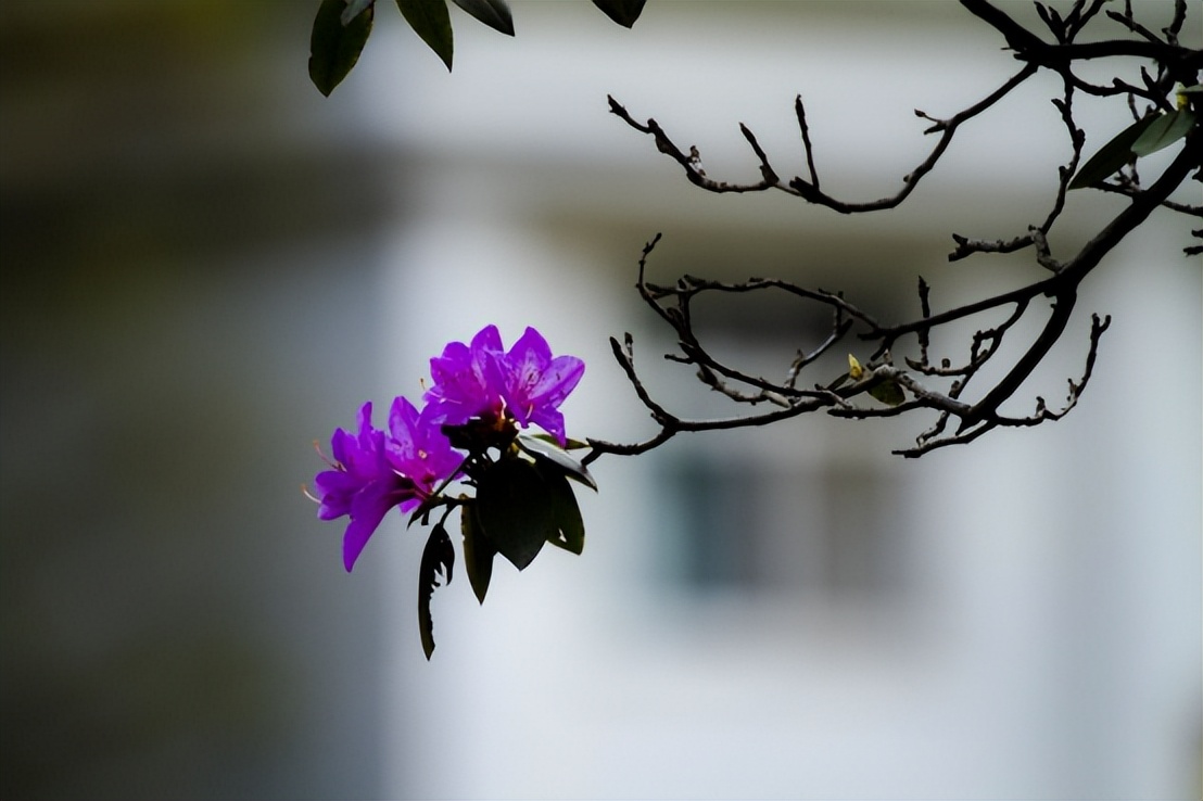 2021年中国旅游日河南免门票景区,2020中国旅游日河南免费景区